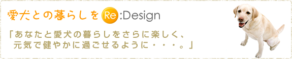 Ƃ炵Re:Design