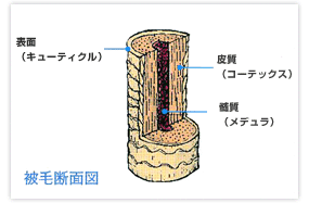 ybgpi@Vv[Eg[gg@vtF