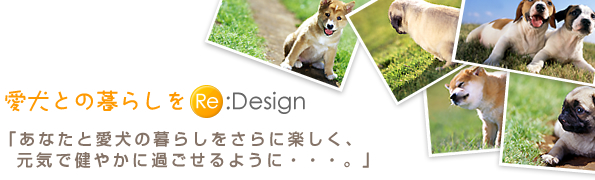 Ƃ̕炵Re:Design@ybgpiʔ̐@n[IhbO